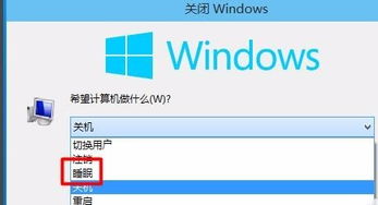 win10如何让电脑关上时仍处于运行状态