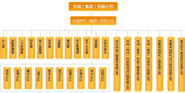 什么是上市公司？不懂啊，举个例子说明一下，为什么要上市啊？