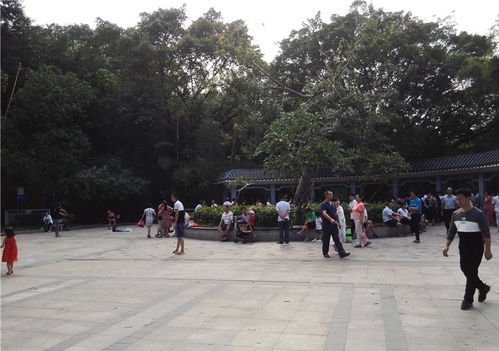 工作日的龙华公园也挺热闹,主要是老人和孩子多