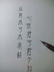 这种古体字叫什么 