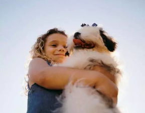 狗狗听不懂你的语言,却能感受到你的喜悦和悲伤 