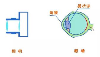 1岁宝宝眼睛就散光 父母别再把这些问题不当回事