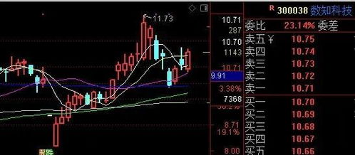 中国基础建设龙头股