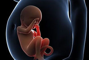 试管婴儿孕期应该如何合理补充营养进行保胎？
