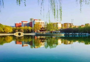 新疆大学欢迎您,专业领域丰富