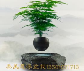 磁悬浮盆栽工作原理