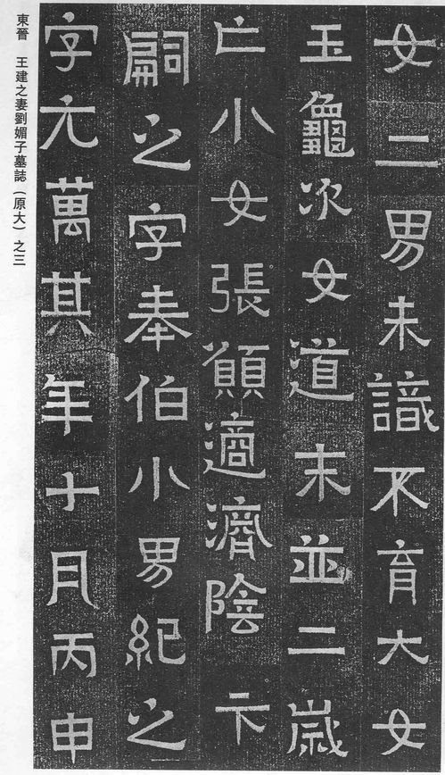 乙未日柱生于戌月八字解析