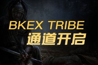 TRIBE币,slp币暴跌原因