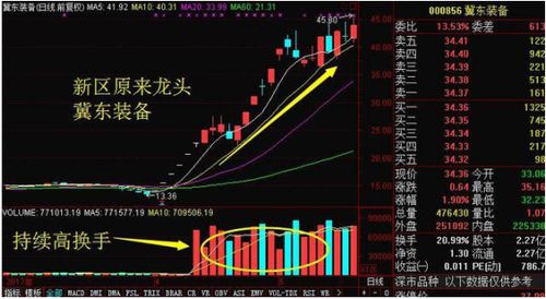 大庄买入股票有什么持点