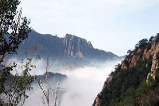 雾灵山门票,河北兴隆雾灵山门票多少钱-第1张图片