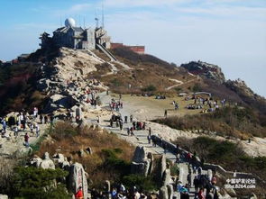 住在泰山山顶,哪里便宜 