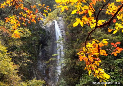 十月虎满山吼预示什么(十月老虎满山吼说的是男生女生)