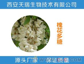 关于槐花饮料研制的毕业论文