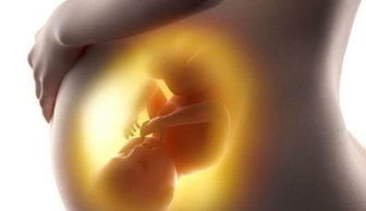 原创怀孕期间，若孕妈抓住这2个“黄金期”，或许会生出个“小天才”