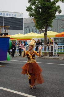 世博花车巡演