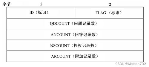 实验8 DNS解析