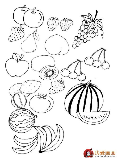 水果图片简笔画,水果简笔画最好看的，哪个