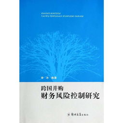 企业并购的财务风险与防范 国内外研究文献综述都有哪些