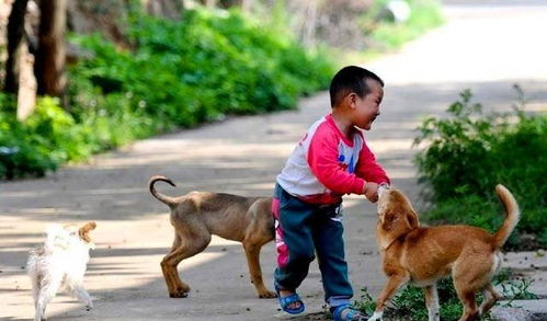 在农村老人常说 养狗十年,必定成精 ,是什么意思,有道理吗