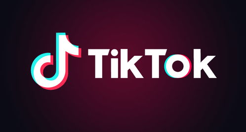 海外版tiktok官网入口,海外版TikTok官方网站的入口 海外版tiktok官网入口,海外版TikTok官方网站的入口 应用