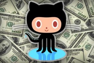 代码管理网站GitHub完成2.5亿美元B轮融资