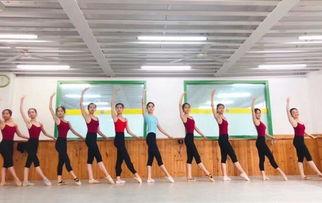 探访山东舞蹈集训学校的魅力与实力