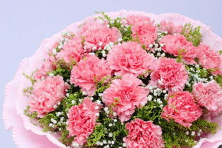 母亲节最适合送哪种花,母亲节：为亲爱的妈妈送上一束最美的康乃馨