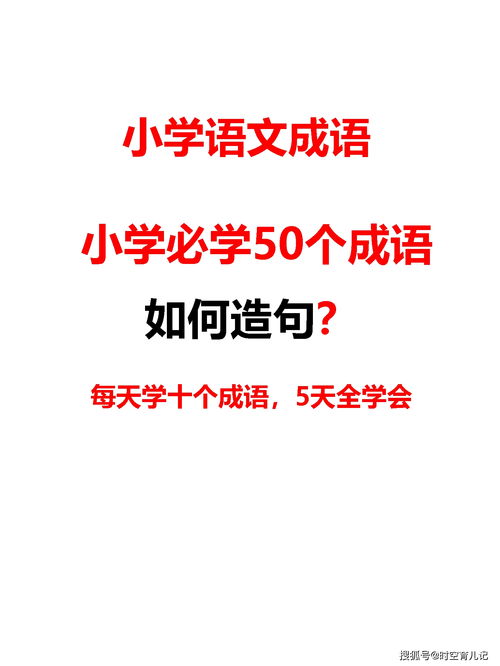 人飞于天造句_一目了然的近义成语？