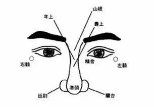 鼻梁露骨的面相怎么看 