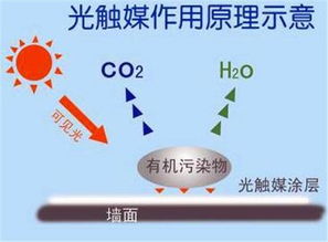 光触媒能除甲醛吗 光触媒优缺点分析