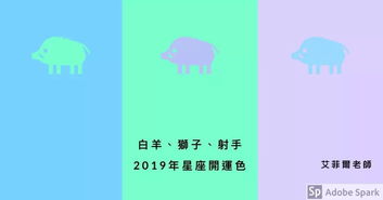 2019年十二星座 新年吉运月 与 开运色