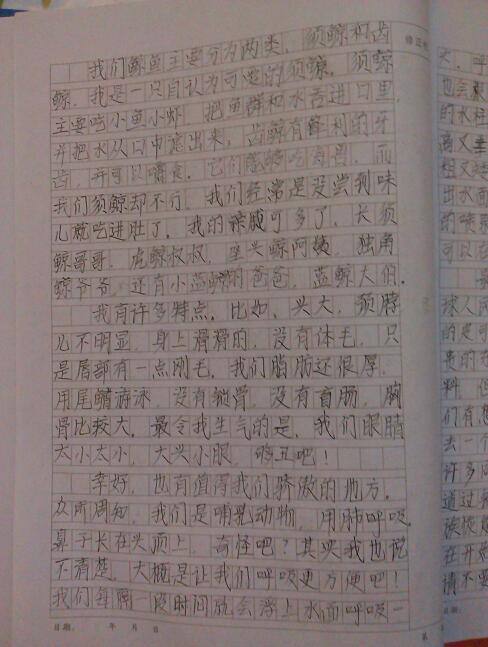 回憶高中生活的作文800字記敘文