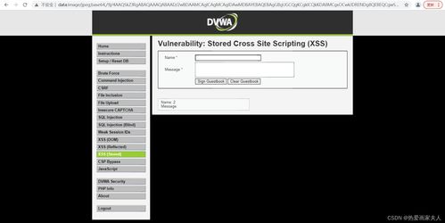 XSS漏洞全解析：原理、类型、攻击途径与解决方案  第8张