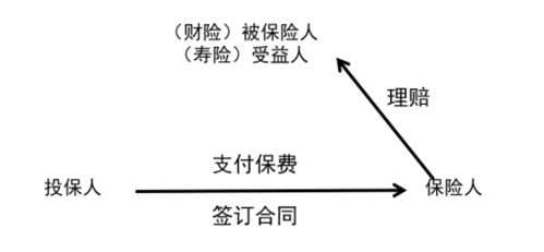 建设工程保证保险被保险人,什么是被保险人被保险人的权利义务