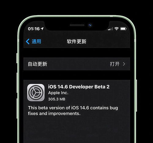 iPhone12更新iOS14.6 Beta2一天体验 暂时不建议尝鲜