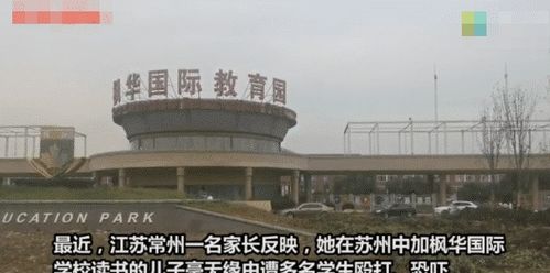 江苏高一生被9名同学霸凌,6名学生被开除,这不是第一起