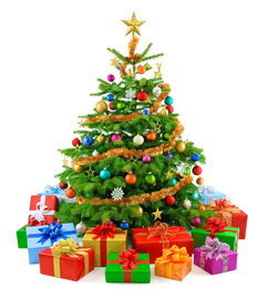 圣诞树是用什么树,圣诞树是松树还是柏树