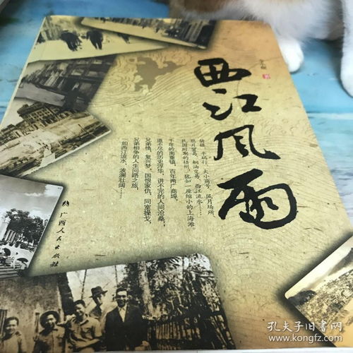 西江风雨 一部中国人民自强不息的奋斗史诗,一部关于梧州历史的百科全书式小说