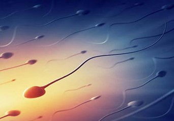 超级精子是什么