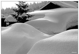 关于窗外的雪景的诗句