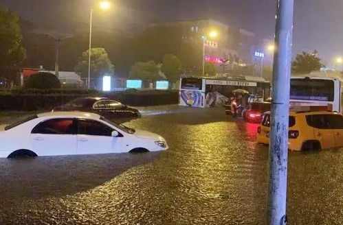 地下车库被淹车辆损失怎么赔 地下车库水淹车保险公司赔吗(车辆在免费地下停车场被淹)