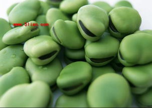 蚕豆是什么植物的种子,四川的豌豆，蚕豆是一种豆吗