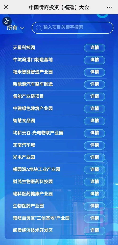 项目对接网服务流程是怎么样的？