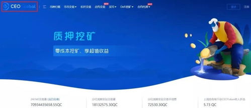 ceo交易所的币怎么追回