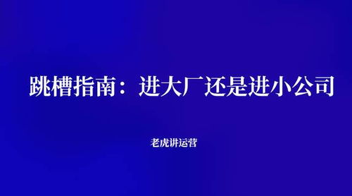 跳槽指南 进大厂还是进小公司