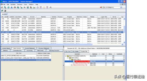 oracle故障信息收集工具有哪些功能和作用