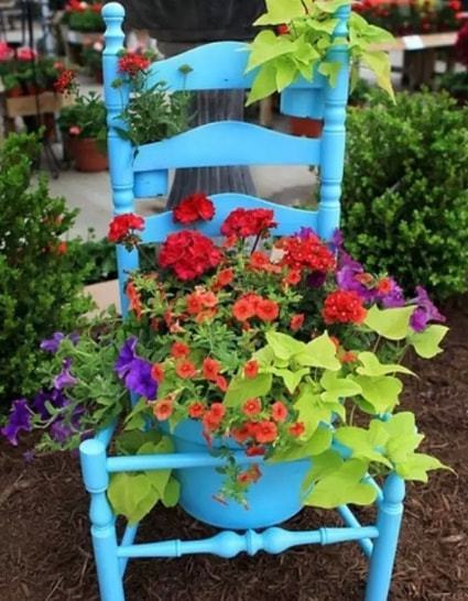 可以种花的椅子,阳台怎么种花好看，适合室内阳台好养的花卉