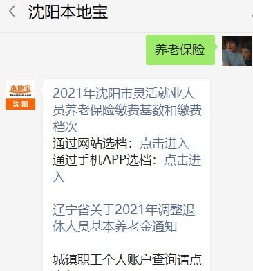 灵活就业养老保险怎么查询缴费记录(灵活就业如何查询养老保险)