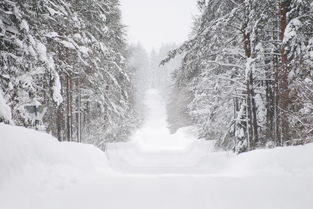 家乡的冬日画卷，我的家乡的冬天作文200字左右(没雪)