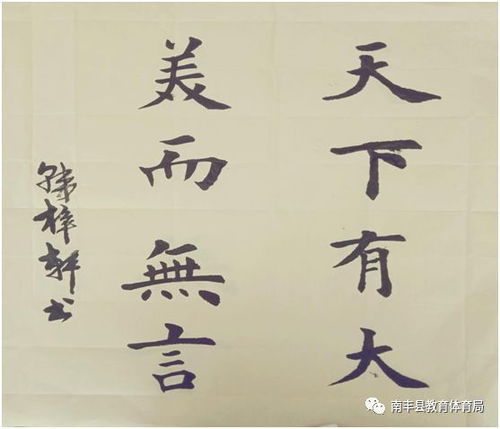 南丰县举办第十一届中小学生幼儿艺术作品现场展示及古诗文大赛 